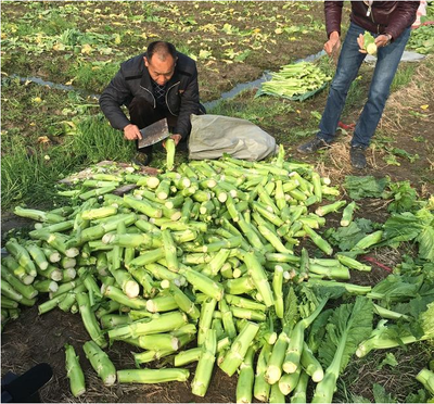 临川区商务局建“产销对接”群 助力农户销售农产品
